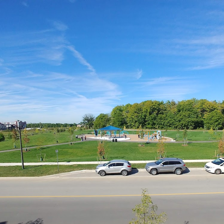 A beautiful view of Cornell Woodlot Park, featuring a vibrant blue sky and serene surroundings.